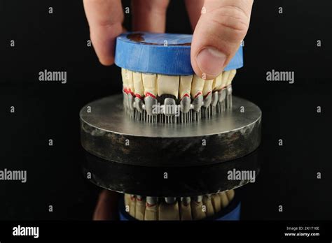 Un técnico dental revisa su trabajo en el laboratorio Coronas dentales