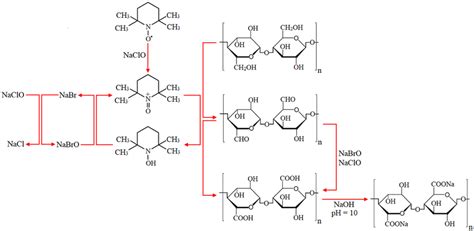 Schematic Representation Of The Tempo Mediated Oxidation Of Cellulose Units Download