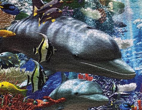 Ravensburger Oceanic Wonders 3000 Pieces Beautiful And Much Fun To Do R Jigsawpuzzles