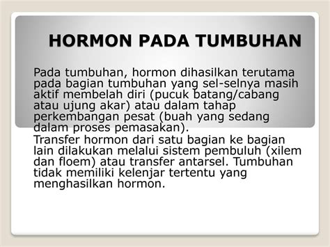 Hormon Pada Tumbuhan Pada Tumbuhan Hormon Dihasilkan Terutama Pada