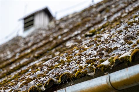 Woonhome In En Rondom Je Woning Asbest Verwijderen