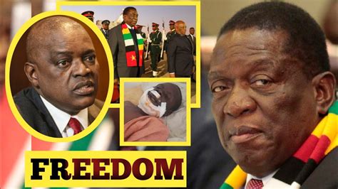 Emmerson Mnangagwa Strike Hard Zimbabwe Botswana New Law On Movement