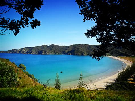 matauri-bay - Crab Cove