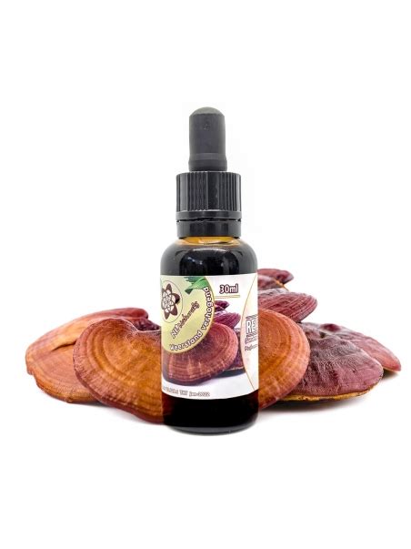 Reishi Mushroom Liquid Extract Dutch Grow Kits