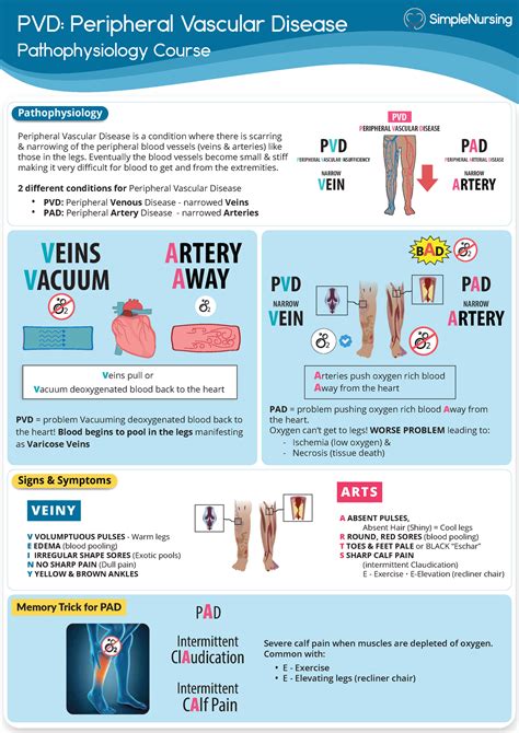 Peripheral Artery Disease Pad Vs Peripheral Vascular 53 Off