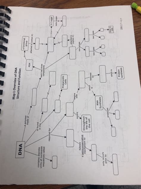 Dna Concept Map