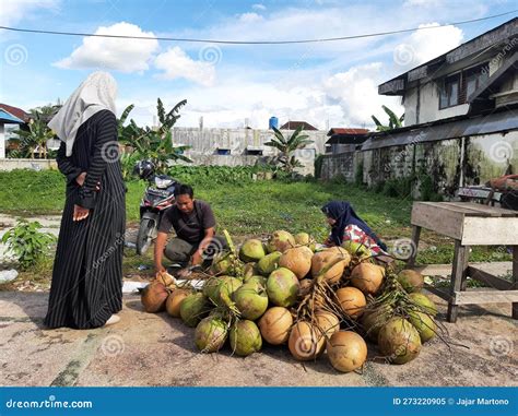 Coconut Seller Throwing And Cutting Coconuts In Malacca Editorial Image