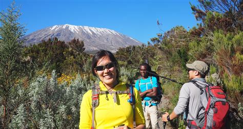 Kilimanjaro Climbing Rongai Route By Kilimanjaro Trekking Mate With