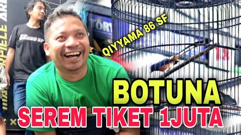 Serem Aksi Nya Murai Batu Botuna Tiket 1juta Runner Up Di Anniversary Pmm Youtube