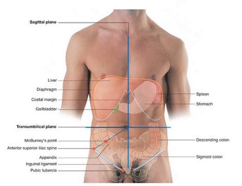 Gallbladder – Location (Anatomy) and Pain