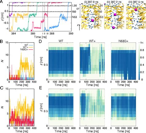 Figure From Molecular Mechanism Of Anion Permeation Through Aquaporin