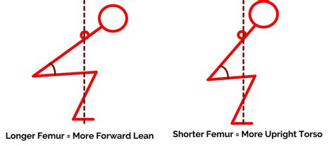 Long Vs Short Femur Barbell Rehab