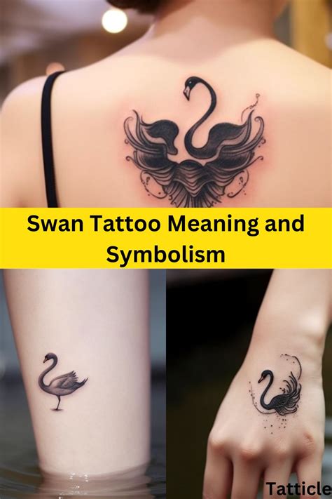 Swan Tattoo Meaning and Symbolism - Tatticle