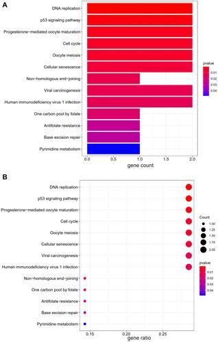 Full Article Aurkb Chek And Nek As The Potential Target Proteins Of