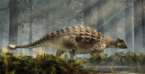 Ankylosaurus Standing In A Forest Digital Art By Daniel Eskridge Fine