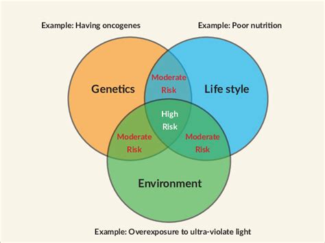 Genetic Environmental And Lifestyle Factors Interact To Influence