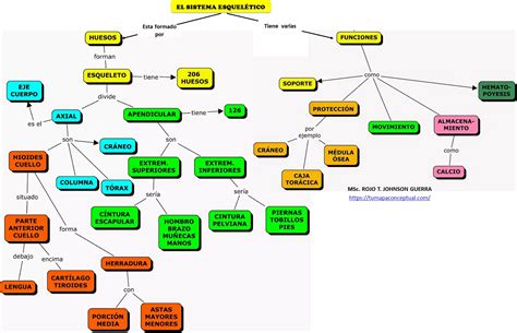 Sistema Esqueletico Mapa Mental Amostra