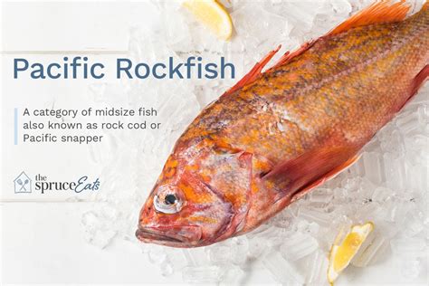 What Is Pacific Rockfish and How Is It Used?