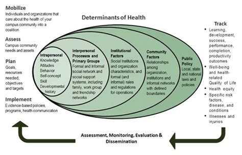 Application of the Social Ecological Framework