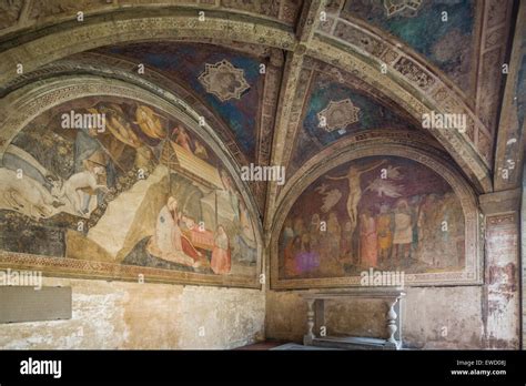 frescoes in vaults of Santa Maria Novella, Florence, Italy Stock Photo - Alamy