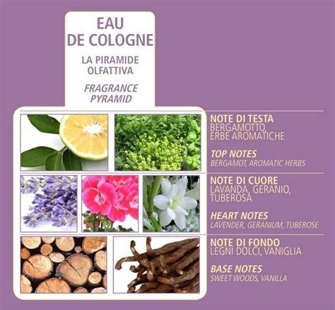 Acqua Di Bolgheri Lavanda Eterea Zarte Fl Ssigseife Ml