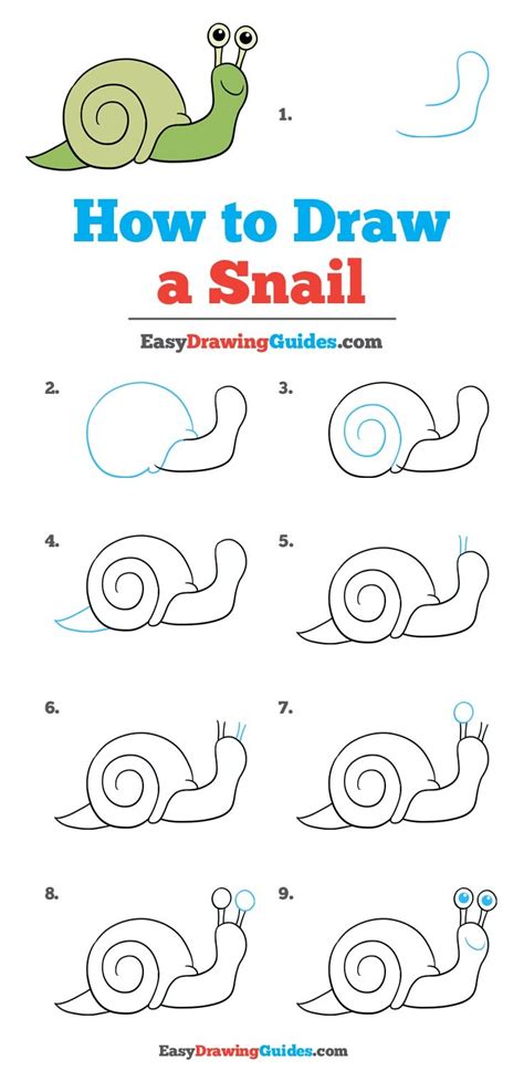 How To Draw A Snail Really Easy Drawing Tutoria