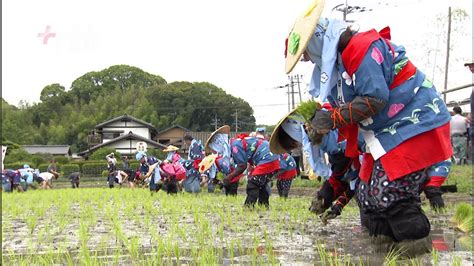 神の田んぼで豊作祈願～太宰府天満宮「御田植祭」 Youtube