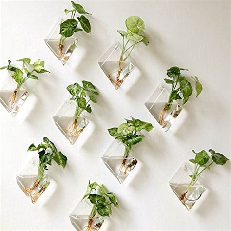 2wall Hanging Green Plant Wall Hanging Planter Box Pot Clear Glass Flower Holder Ebay Indoor