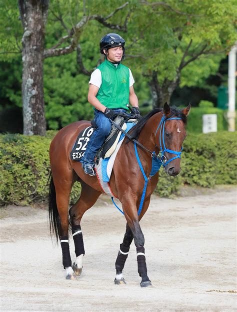 【北九州記念】モズメイメイ重賞連勝へ 不安材料なしで再びロケットスタート決める ライブドアニュース