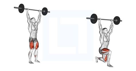 Barbell Overhead Lunge - Guide, Benefits, and Form