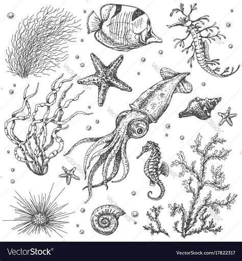 71 Simple Design Sketch underwater drawing with Sketch Pencil | Sketch ...