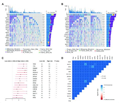 Mutation Landscapes Of Low And High Risk Groups Ab Waterfall