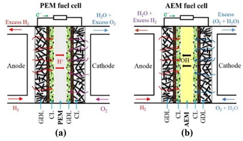 Processes Free Full Text Effect Of Gas Diffusion Layer Thickness On