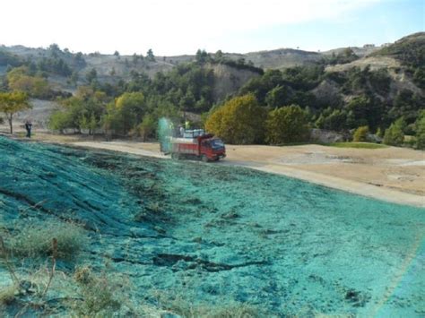 Optimum Çim hazır çim rulo çim hazır rulo çim izmir hydroseeding