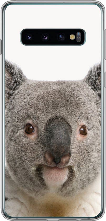 Samsung Galaxy S10 Hoesje Baby Koala Koala Beer Jong Meisjes