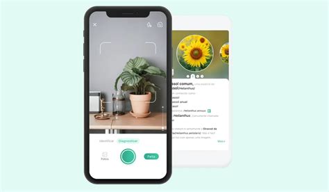 Ficou fácil conheça um ótimo app para identificar plantas Blog iPlace