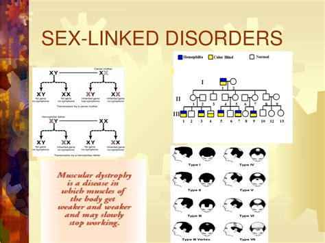 Ppt Sex Linked Inheritance Powerpoint Presentation Free Download Id605313