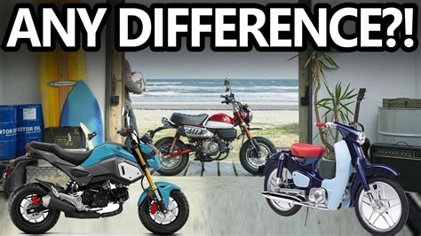 Review Honda Grom Vs Monkey Vs Super Cub Youtube