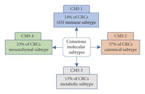 Consensus Molecular Subtypes Classification Of Colorectal Cancer Cms Download Scientific