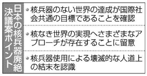 核禁止条約 日本触れず 国連決議案 菅政権でも距離 沖縄タイムス＋プラス