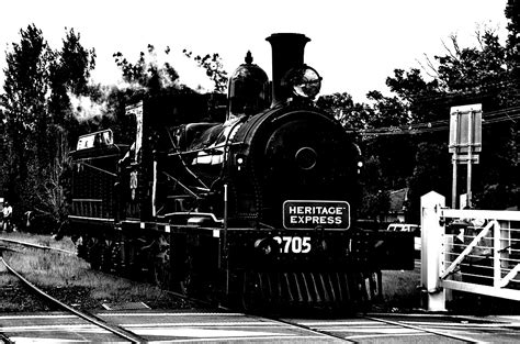 Nswgr Z Class Locomotive My Happy Snapper Flickr