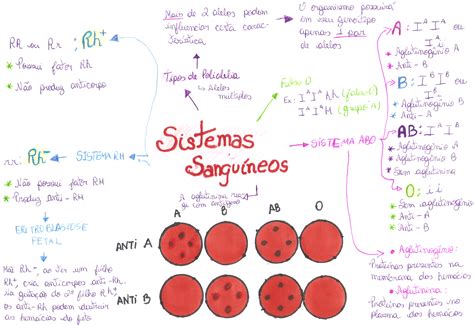 Mapa mental resumo de biologia sobre os sistemas sanguíneos ABO e Rh