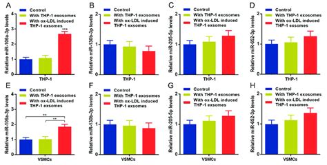 Ox Ldl Induced Thp 1 Delivered Mir 106a 3p To Vsmcs Through Exosomes