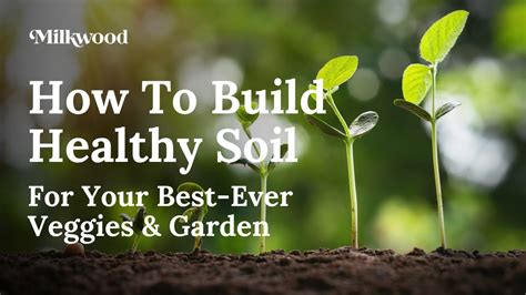 How To Build Healthy Soil For Great Veggies Milkwood YouTube