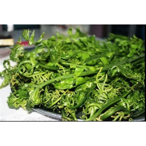 Jual Daun Pakis Segar By Surga Kebutuhan Ku Shopee Indonesia