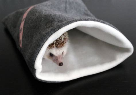 Cozy Snuggle Sack for Small Animals - Fleece Lined