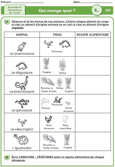 Séquence cycle 2 relations entre êtres vivants dinosaures en 2024