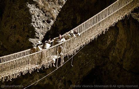 This Bridge Is Made Entirely From Blades Of Grass And Can Withstand 10