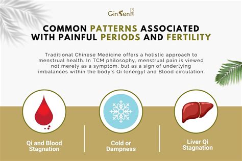 Painful Periods And Fertility TCM Myths Explored GinSen