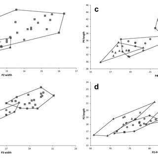 Bivariate Plots Of Dental Size And Proportions In The Described